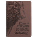 My Strength & My Defense Brown Classic