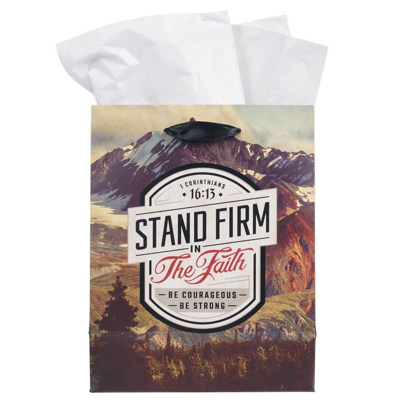 Stand Firm in the Faith Mountain View