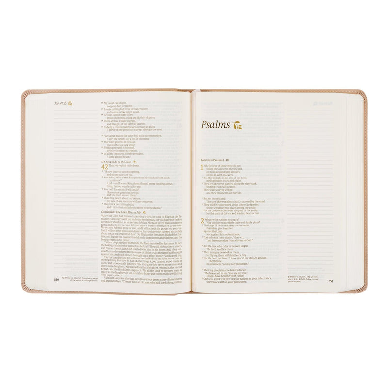 NLT Notetaking Bible: Shilo theme