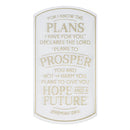 Hope & A Future Jer. 29:11 Sticker Vinyl
