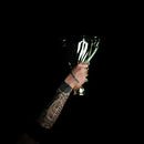 We hebben al gewonnen (CD)