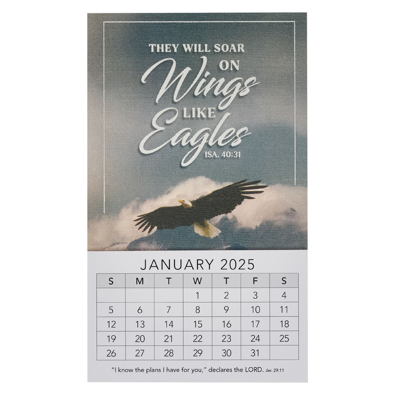 Wings Like Eagles - Isaiah 40:31