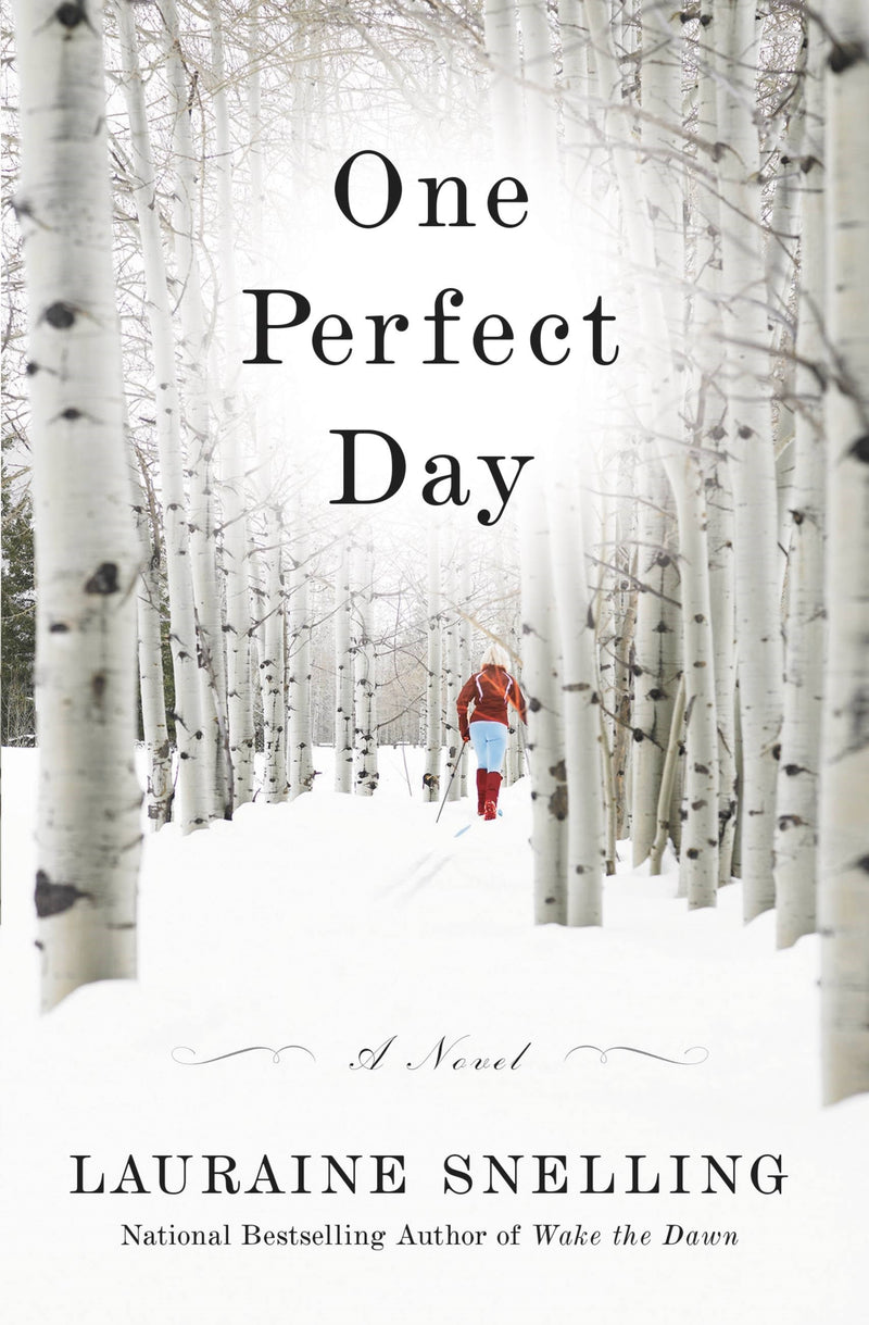 One Perfect Day: A Novel 