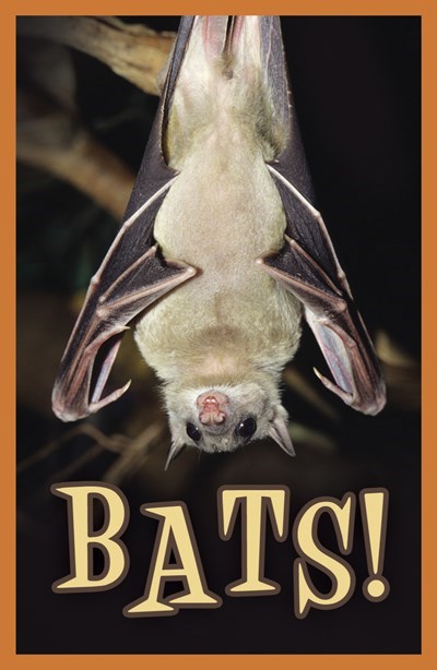 Tract-Halloween: Bats! (KJV) (Pack Of 25)