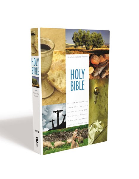 NIV Textbook Edition Bible-Hardcover