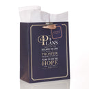 For I know the plans - 200x120x245 mm