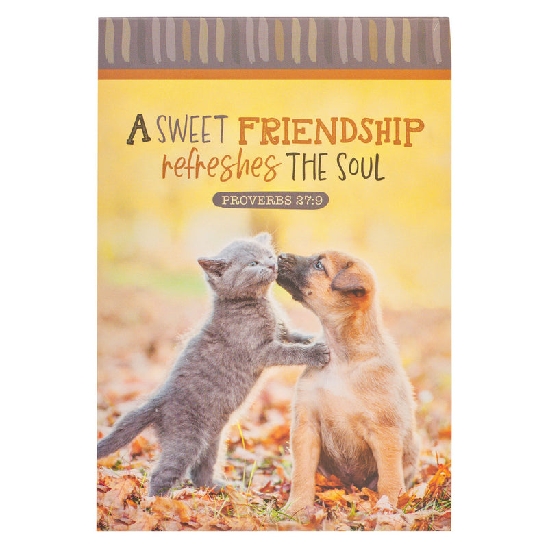 A Sweet Friendship Fall Puppy and Kitten