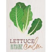 Lettuce remain calm