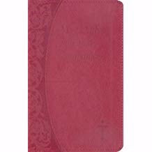 My Daily Spiritual Companion-Burgundy Imitation Leather