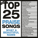 Top 25 Praise Songs (2CD)
