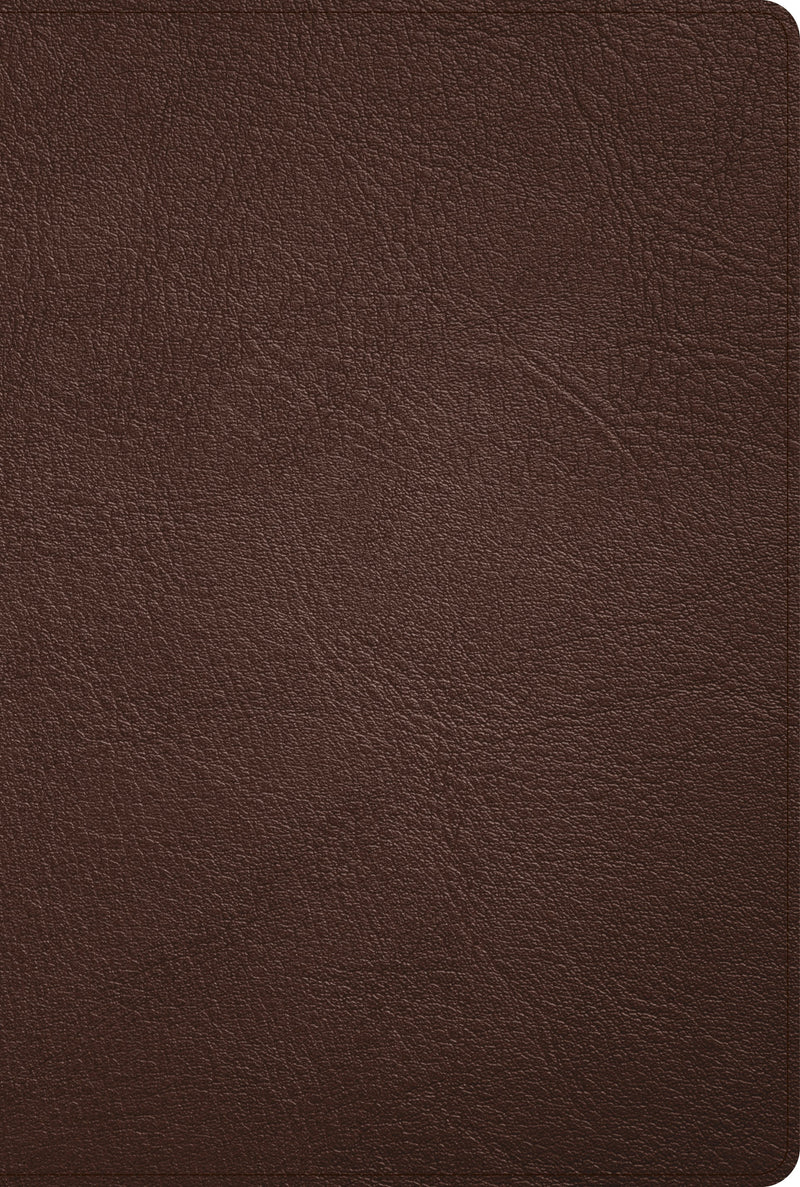 KJV Large Print Thinline Bible-Black Premium Leather