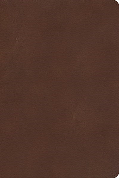 CSB Rainbow Study Bible-Brown LeatherTouch Indexed