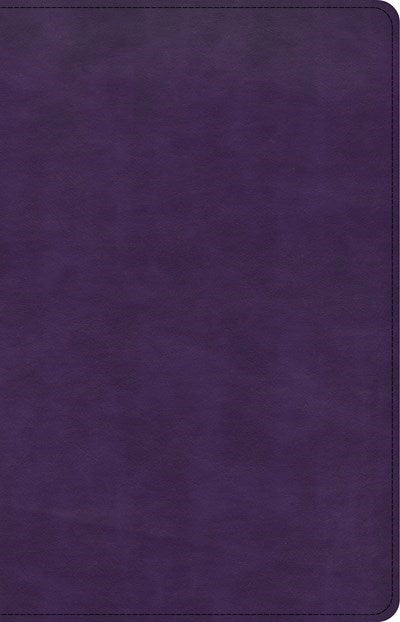 CSB Large Print Personal Size Reference Bible-Purple LeatherTouch Indexed