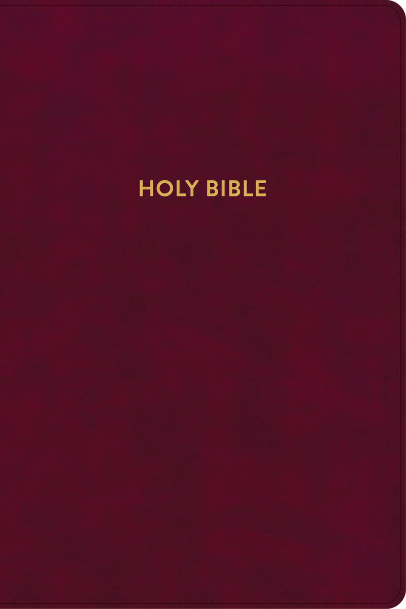 KJV Rainbow Study Bible-Burgundy LeatherTouch