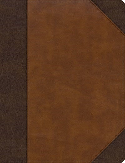 CSB Notetaking Bible/Large Print Edition-Brown/Tan LeatherTouch