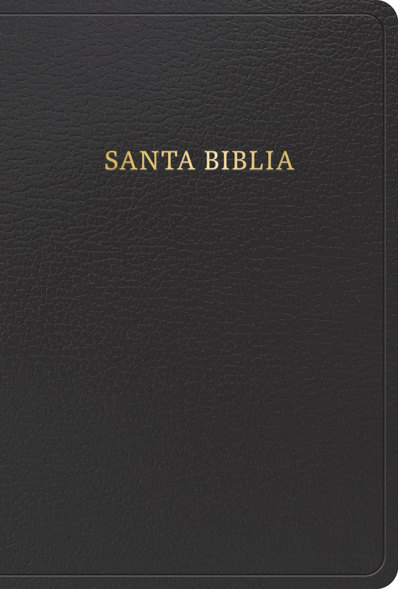 Span-RVR 1960 Hand Size Giant Print Bible (Biblia letra grande tamano manual-Black Imitation Leather Indexed