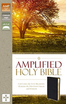 Amplified Thinline Holy Bible