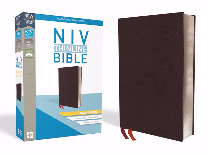 NIV Thinline Bible/Giant Print (Comfort Print)-Burgundy Bonded Leather Indexed 