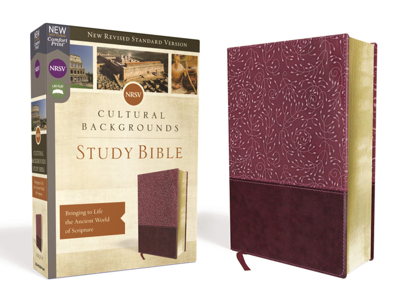 NRSV Cultural Backgrounds Study Bible (Comfort Print)-Burgundy Leathersoft