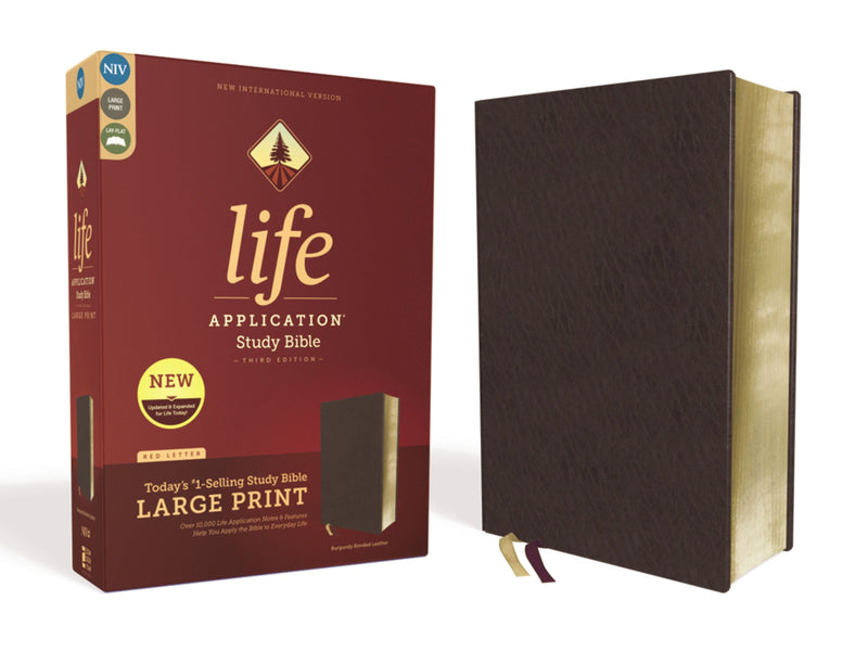 NIV Life Application Study Bible/Large Print (Third Edition)-Burgundy Bonded Leather