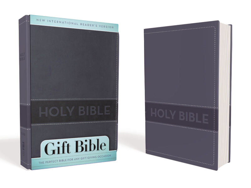 NIrV Gift Bible-Slate Blue DuoTone