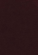 Vines expository bible Burgundy