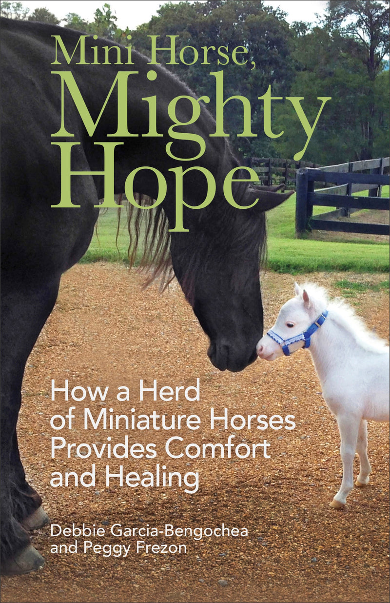 Mini Horse  Mighty Hope