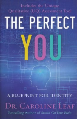 The Perfect You: A Blueprint for Identit