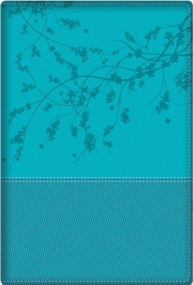 Span-RVR 1960 A Woman After God's Own Heart Bible-Aqua Duotone