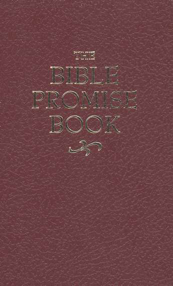 The Bible Promise Book (KJV)