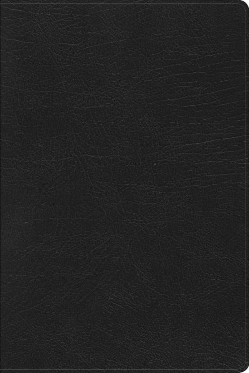 Span-RVR 1960 Rainbow Study Bible (Biblia de Estudio Acro Iris)-Black Imitation Leather 