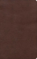 KJV Single-Column Personal Size Bible-Brown LeatherTouch
