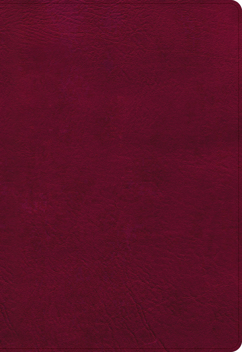 NASB 2020 Super Giant Print Reference Bible-Burgundy LeatherTouch Indexed