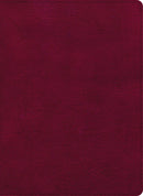 CSB Holy Land Illustrated Bible-Burgundy LeatherTouch
