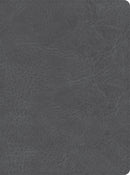 CSB He Reads Truth Bible-Smoke LeatherTouch Indexed