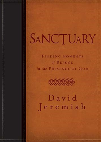 Sanctuary-Leathersoft 