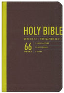NLT Zips Bible-Canvas Cover w/Yellow Zipper