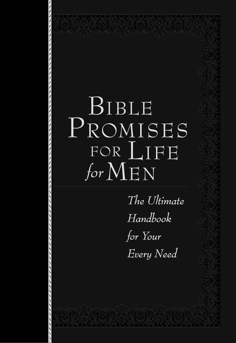 Bible Promises For Life For Men