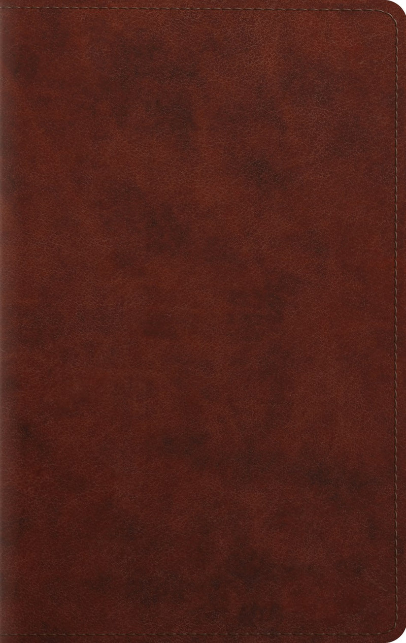 ESV Large Print Personal Size Bible-Chestnut TruTone 