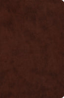 ESV Compact Bible-Brown TruTone