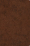 ESV Value Compact Bible-Brown TruTone