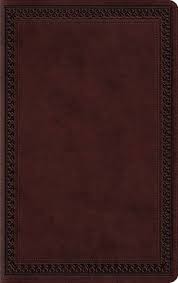 ESV Large Print Value Thinline Bible-Mahogany Border Design TruTone