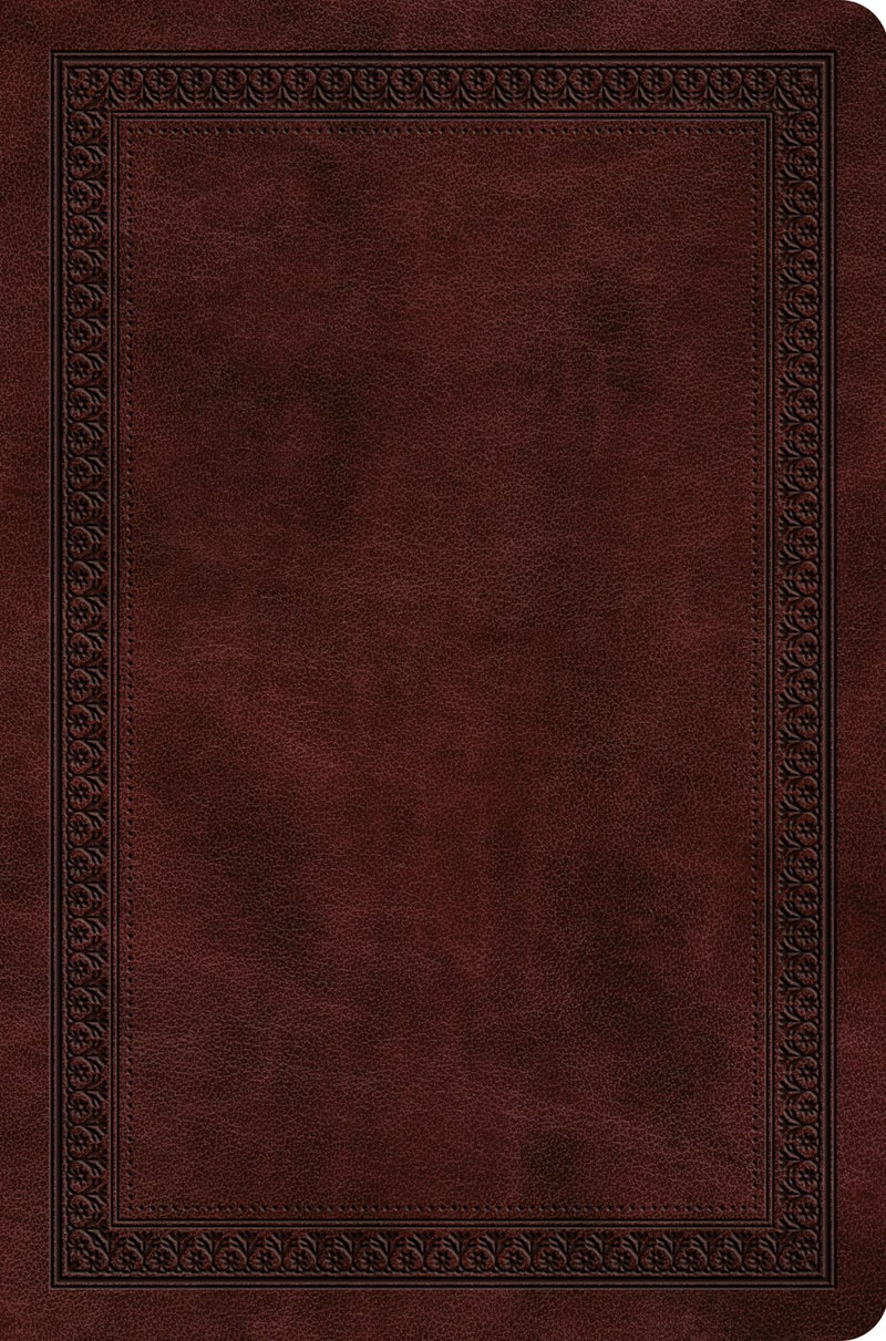 ESV Value Compact Bible-Mahogany Border Design TruTone