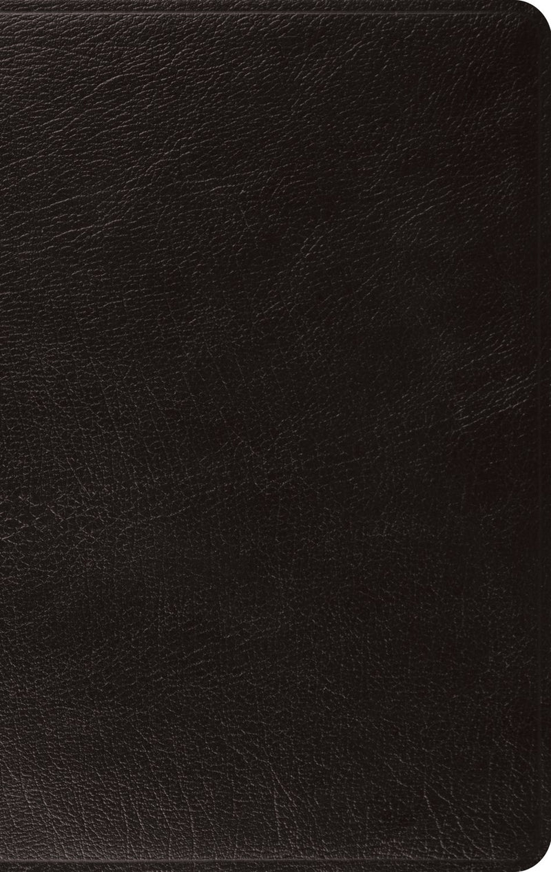 ESV Large Print Thinline Bible-Black Genuine Leather