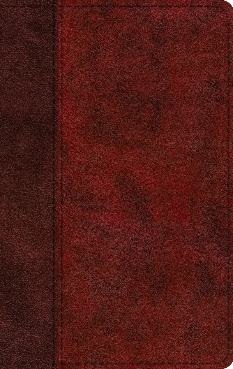 ESV Large Print Thinline Bible-Burgundy/Red Timeless Design TruTone