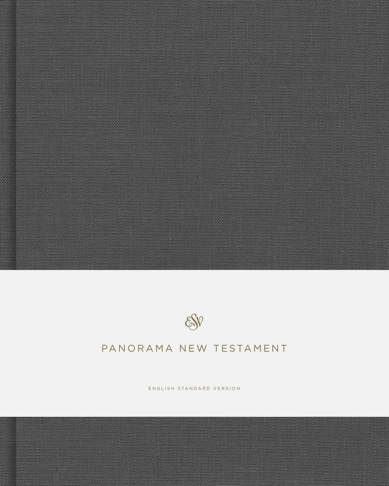 ESV Panorama New Testament-Hardcover