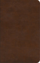 ESV Concise Study Bible-Brown TruTone