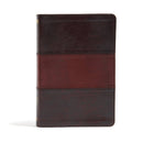 NIV Holman Rainbow Study Bible-Saddle Brown Leathertouch