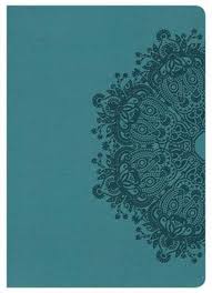 Large print compact bible teal