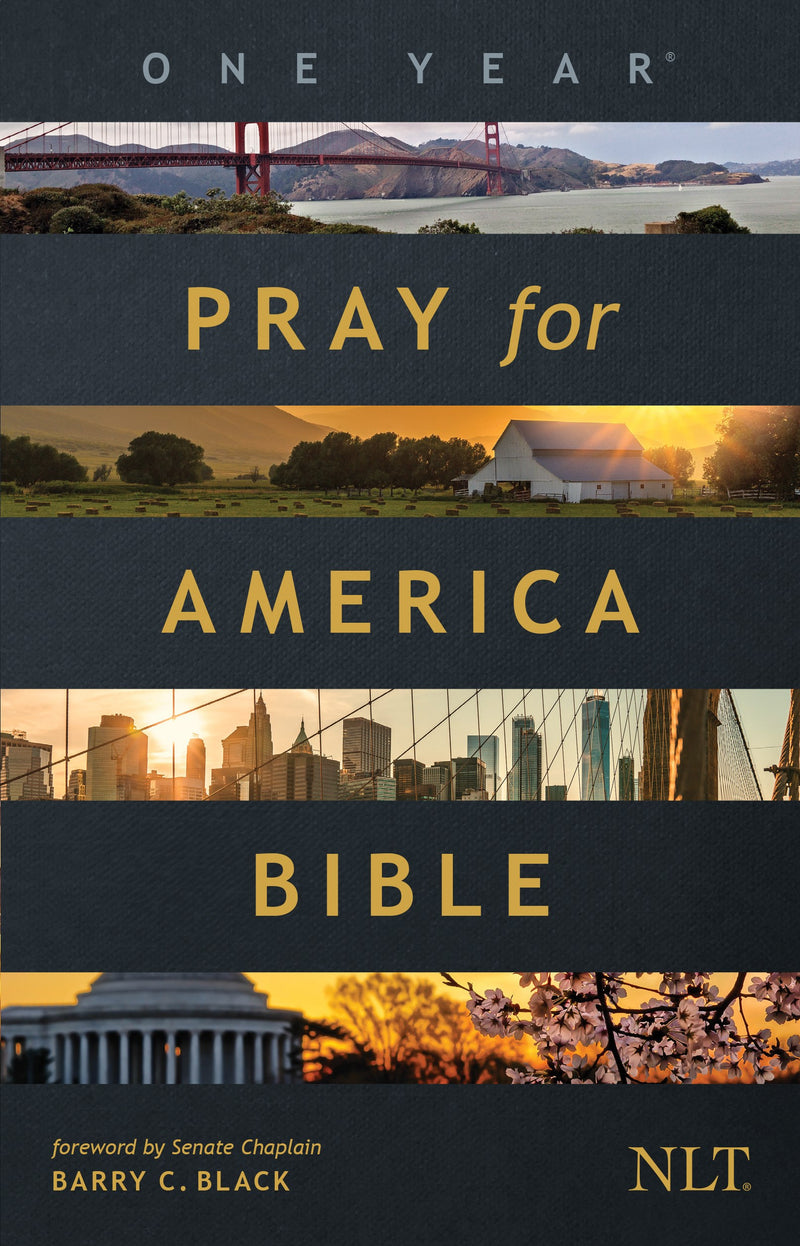 NLT One Year Pray For America Bible-Softcover